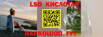 прущие крисы Будённовск