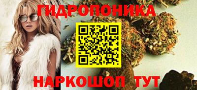 прущие крисы Будённовск