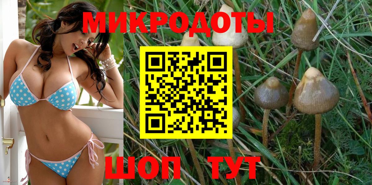 Светлоград  Галлюциногенные грибы Psilocybe  Вход с VPN 