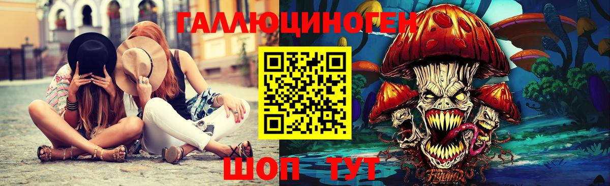 Галлюциногенные грибы Psilocybe Светлоград